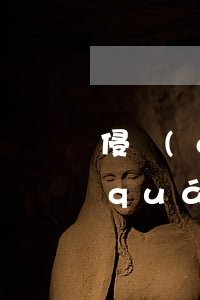 侵權(quán)知識產(chǎn)權(quán)(侵犯知識產(chǎn)權(quán)的訴訟時(shí)效)