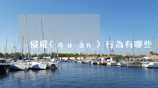 侵權(quán)行為有哪些