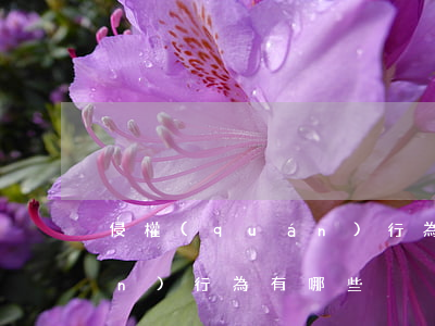 侵權(quán)行為有哪些(侵權(quán)行為有哪些)