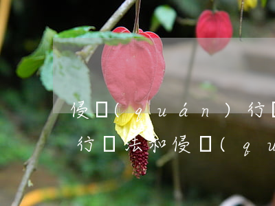 侵權(quán)行為法(侵權(quán)行為法和侵權(quán)責(zé)任法的區(qū)別)