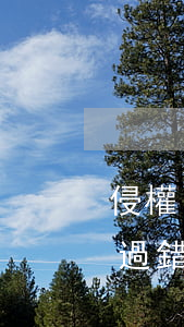 侵權(quán)責(zé)任法中哪些是過錯(cuò)推定（侵權(quán)責(zé)任法確定的歸責(zé)原則有哪些）