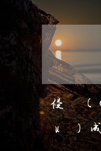 侵權(quán)責(zé)任的構(gòu)成要件