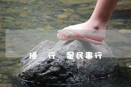 侵權行為是民事行為嗎