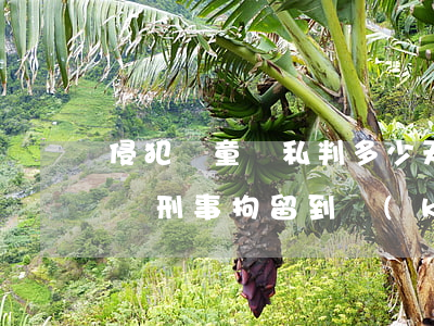 侵犯兒童隱私判多少天有期徒刑?(威脅兒童罪從刑事拘留到開(kāi)庭審判最長(zhǎng)得多長(zhǎng)時(shí)間?)