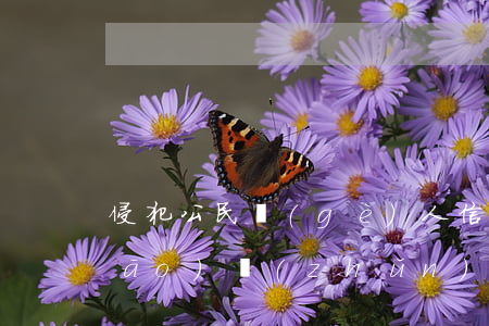 侵犯公民個(gè)人信息罪量刑標(biāo)準(zhǔn)