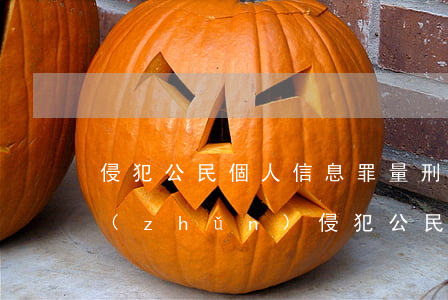 侵犯公民個人信息罪量刑標(biāo)準(zhǔn)(侵犯公民個人信息罪量刑標(biāo)準(zhǔn)金額)