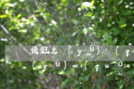 侵犯名譽(yù)權(quán)(侵犯名譽(yù)權(quán)可以報警嗎)