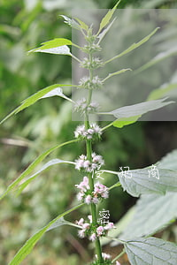 侵犯商業(yè)秘密(侵犯商業(yè)秘密)