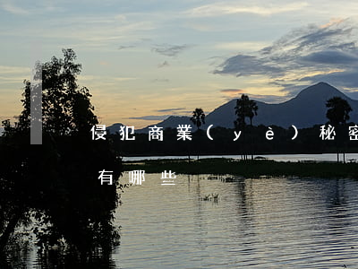 侵犯商業(yè)秘密的法律責(zé)任有哪些
