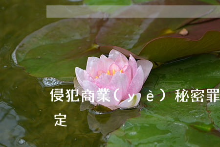 侵犯商業(yè)秘密罪客觀構成要素的認定