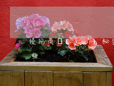 侵犯商業(yè)秘密罪的概念和特征有哪些