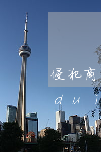 侵犯商業(yè)秘密罪的犯罪客體和對(duì)象是什么
