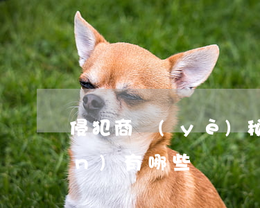 侵犯商業(yè)秘密行為的表現(xiàn)有哪些