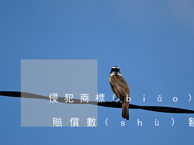 侵犯商標(biāo)專用權(quán)賠償數(shù)額