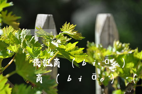 侵犯商標(biāo)權(quán)(侵犯商標(biāo)權(quán)案例)