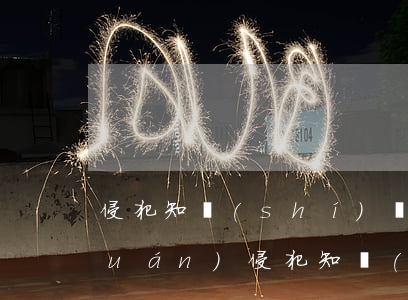侵犯知識(shí)產(chǎn)權(quán)(侵犯知識(shí)產(chǎn)權(quán)如何賠償)