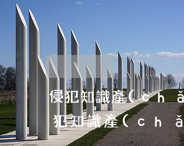 侵犯知識產(chǎn)權(quán)(侵犯知識產(chǎn)權(quán)罪)