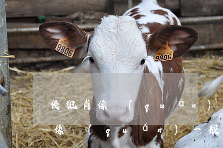 侵犯肖像權(quán)要賠多少錢(侵犯肖像權(quán)一般賠多少 盈利金額的多少)