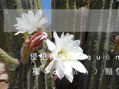 侵犯肖像權(quán)賠償2萬(損害肖像權(quán)賠償多少)