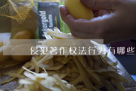 侵犯著作权法行为有哪些