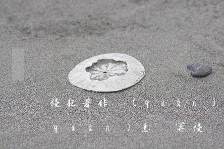 侵犯著作權(quán)怎么處罰（著作權(quán)怎樣算侵權(quán)）