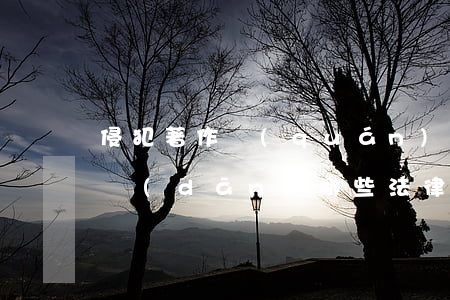 侵犯著作權(quán)應(yīng)承擔(dān)哪些法律責(zé)任