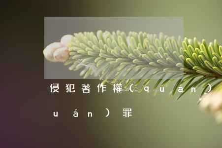 侵犯著作權(quán)罪(侵犯著作權(quán)罪)
