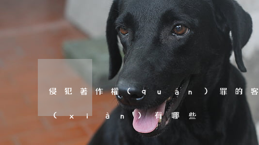 侵犯著作權(quán)罪的客觀行為表現(xiàn)有哪些