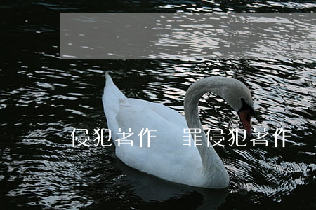 侵犯著作權罪(侵犯著作權罪構成要件)