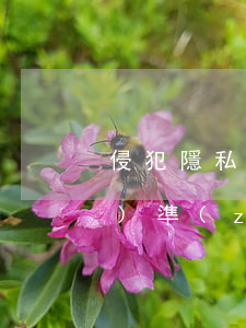 侵犯隱私起訴費(fèi)用標(biāo)準(zhǔn)多少(起訴隱私權(quán)立案標(biāo)準(zhǔn))