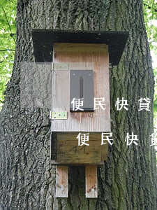 便民快貸逾期了怎么貸不出來(lái)了(便民快貸還款后為什么不能)