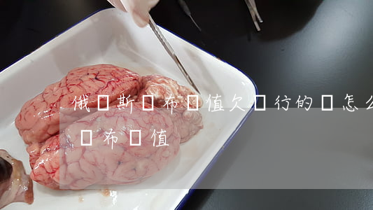 俄羅斯盧布貶值欠銀行的錢怎么還-俄羅斯 盧布貶值