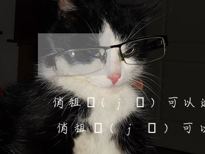 俏租機(jī)可以逾期協(xié)商嗎(俏租機(jī)可以逾期協(xié)商嗎)
