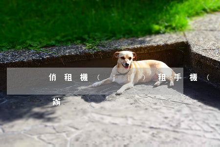 俏租機(jī)租手機(jī)逾期了怎么辦