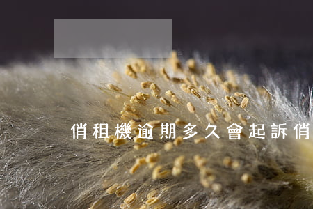 俏租機逾期多久會起訴(俏租機逾期會怎樣)