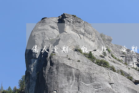 保人逾期還能貸款嗎(逾期擔保人有影響嗎)