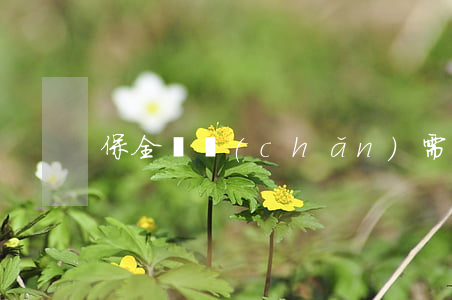 保全財產(chǎn)需要哪些條件