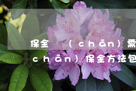 保全財產(chǎn)需要哪些條件(財產(chǎn)保全方法包括)