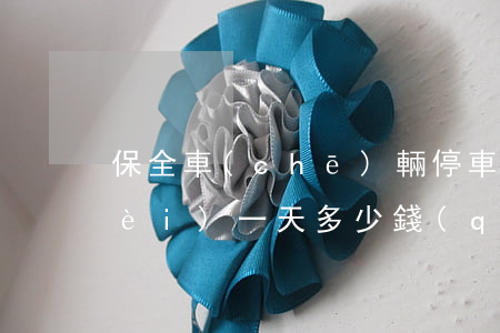 保全車(chē)輛停車(chē)費(fèi)一天多少錢(qián)(車(chē)輛保全停車(chē)費(fèi)用是多少)