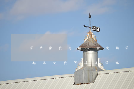 保单缴费逾期之前交的保费怎么办-保单逾期未交费可以退保吗