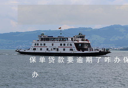保单贷款要逾期了咋办(保单贷款要逾期了咋办)