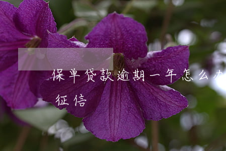 保单贷款逾期一年怎么办(保单贷逾期多久上征信)