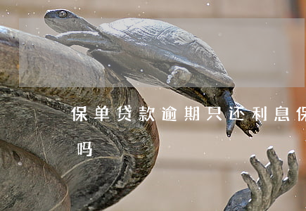 保单贷款逾期只还利息(保单逾期了还能贷款吗)