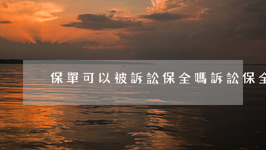保單可以被訴訟保全嗎(訴訟保全是什么)