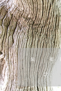 保單抵押貸款無(wú)力償還-保單抵押貸款還不上會(huì)怎樣