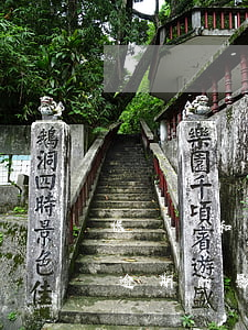 保單貸和信用卡逾期的影響(保單貸和信用卡逾期的影響征信嗎)