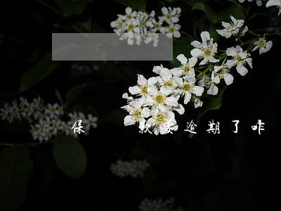 保單貸款要逾期了咋辦(保單貸款要逾期了咋辦)