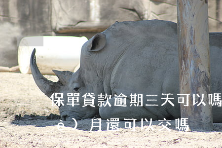 保單貸款逾期三天可以嗎(保單逾期三個(gè)月還可以交嗎)