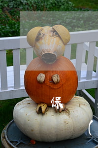 保單貸款逾期多久上征信(保單貸逾期多久保單會(huì)失效)