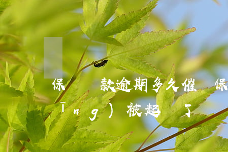 保單貸款逾期多久催繳(保單貸逾期已經(jīng)被起訴了)